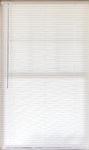 Westerly 35" W x 64" H Light Filtering Cordless Miniblind - White