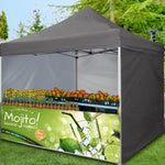 AsterOutdoor 10' x 10' Pop Up Sidewall Canopy Tent - 5 pieces of sidewall with Rolling Storage Bag, Gray